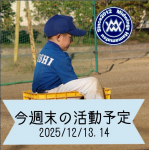 今週末の活動予定　12/13.14