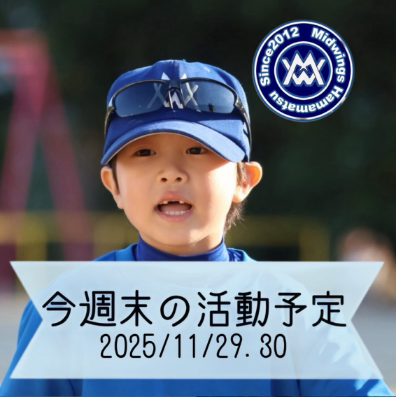 今週末の活動予定　11/29.30